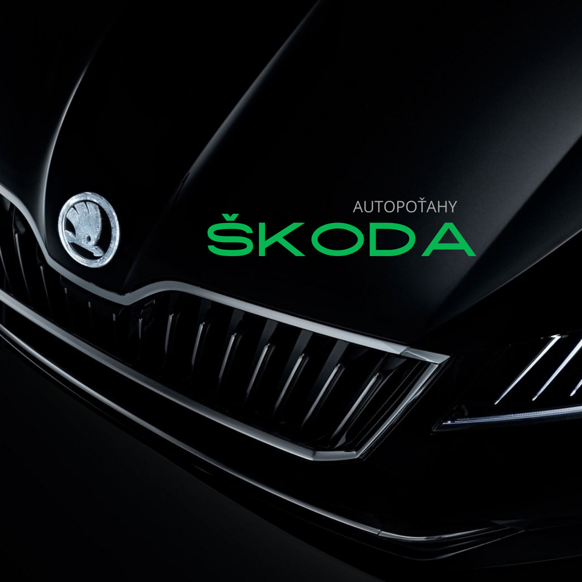 autopotahy škoda